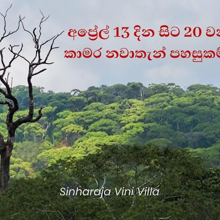 Sinharaja Vini Villa Deniyaya Bagian luar foto