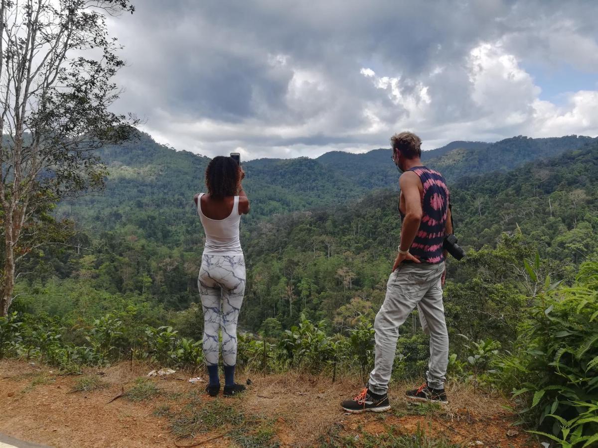 Sinharaja Vini Villa Deniyaya Bagian luar foto