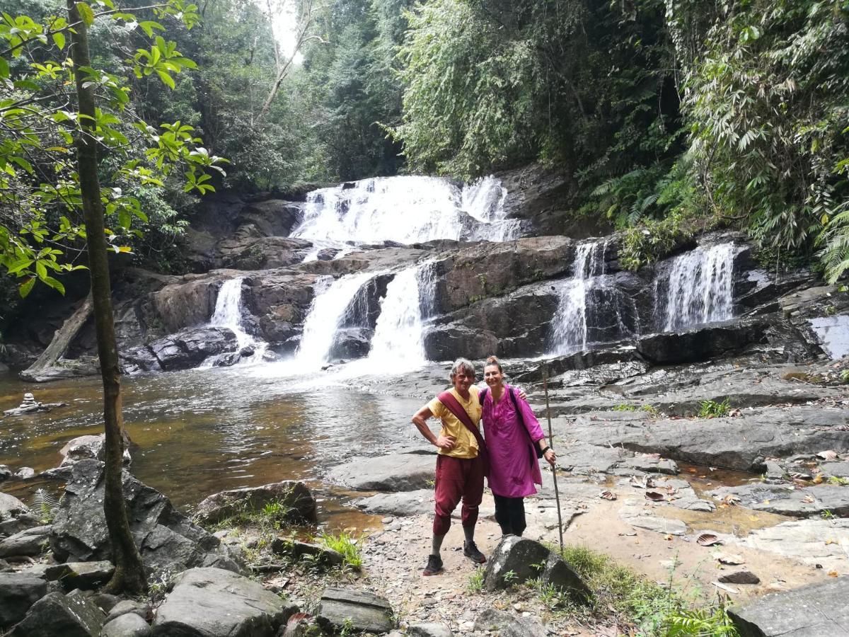 Sinharaja Vini Villa Deniyaya Bagian luar foto