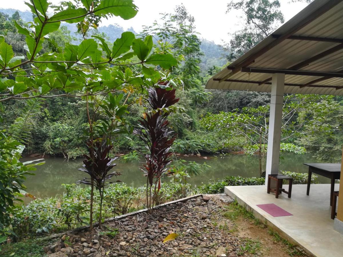 Sinharaja Vini Villa Deniyaya Bagian luar foto