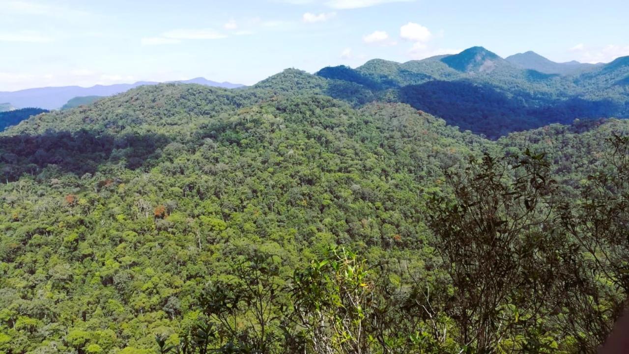 Sinharaja Vini Villa Deniyaya Bagian luar foto