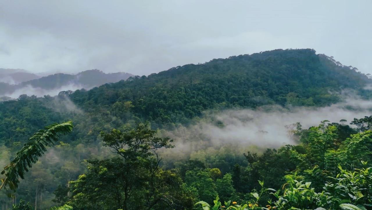 Sinharaja Vini Villa Deniyaya Bagian luar foto