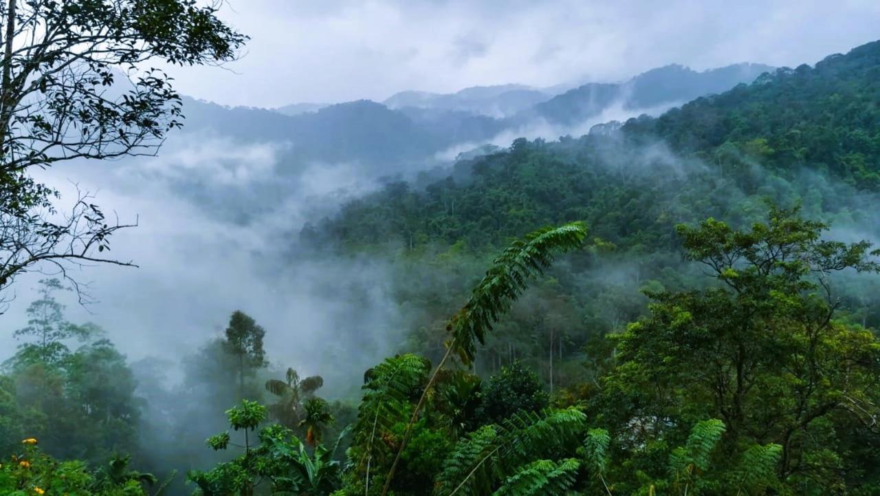 Sinharaja Vini Villa Deniyaya Bagian luar foto