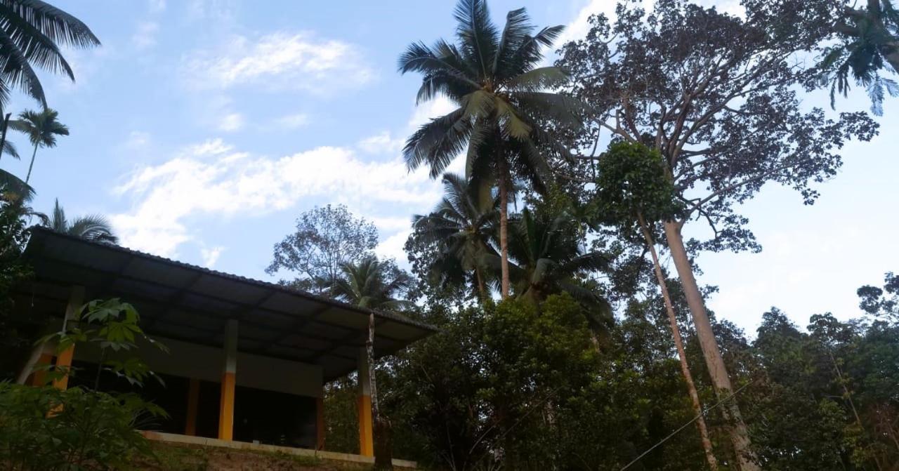 Sinharaja Vini Villa Deniyaya Bagian luar foto