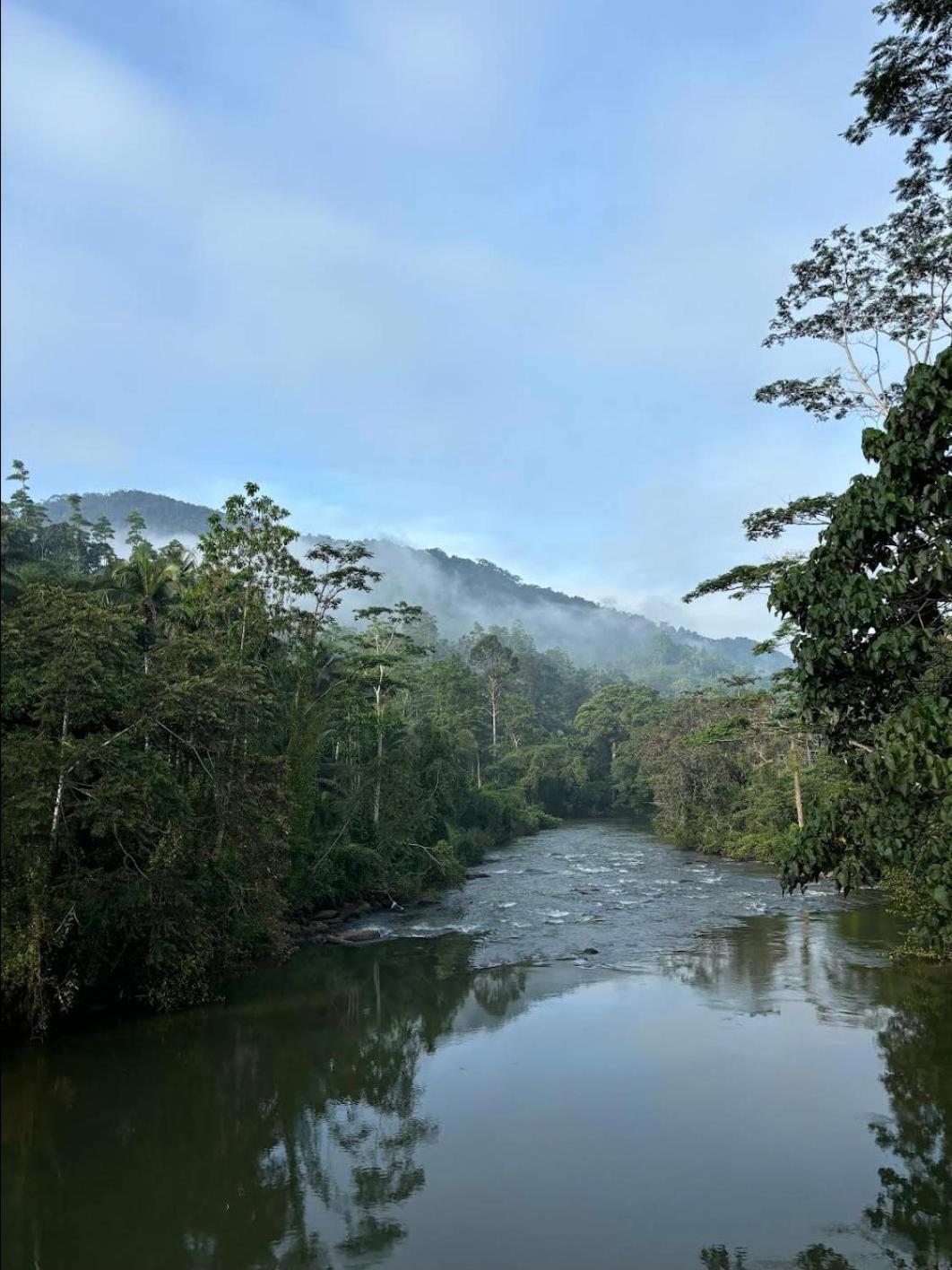 Sinharaja Vini Villa Deniyaya Bagian luar foto