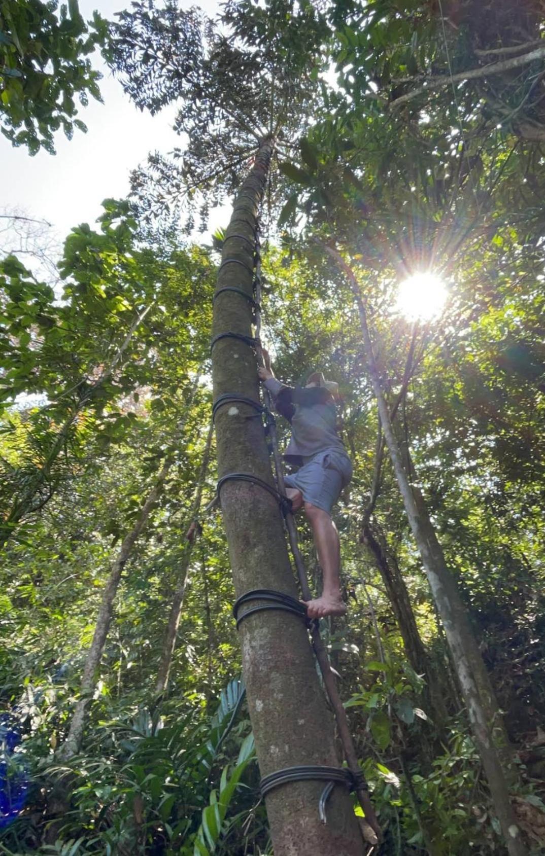 Sinharaja Vini Villa Deniyaya Bagian luar foto