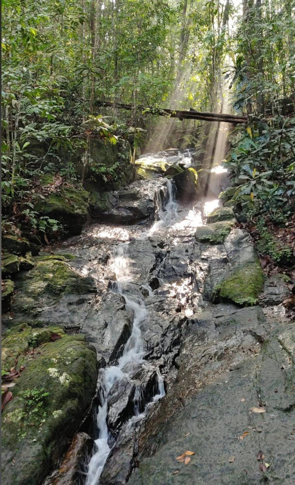 Sinharaja Vini Villa Deniyaya Bagian luar foto
