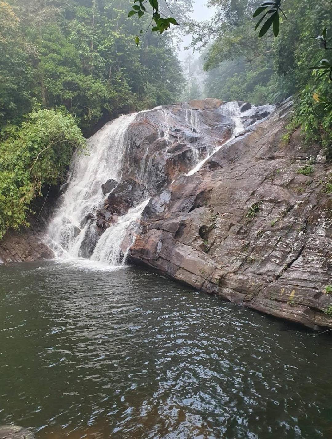 Sinharaja Vini Villa Deniyaya Bagian luar foto
