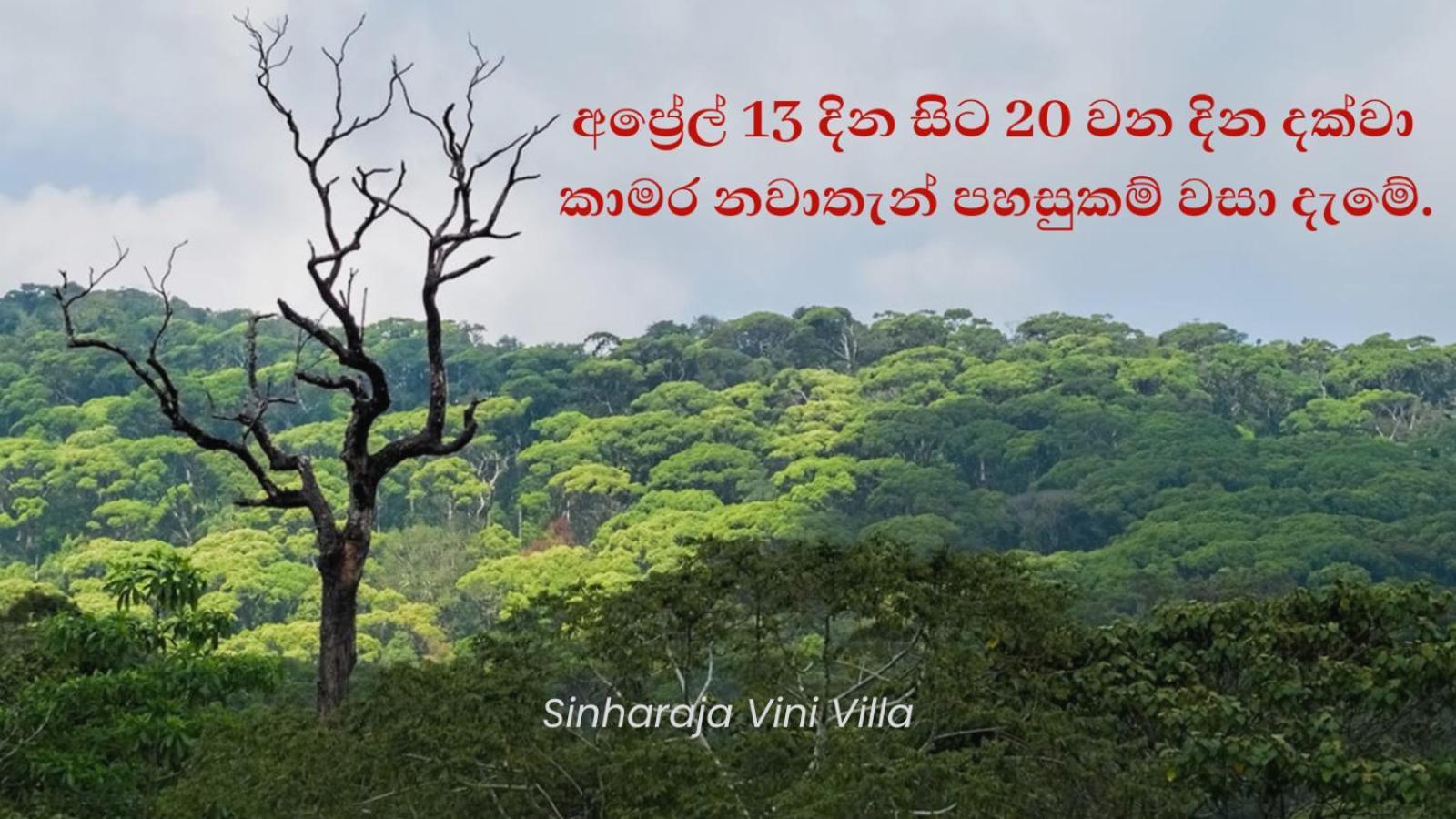Sinharaja Vini Villa Deniyaya Bagian luar foto