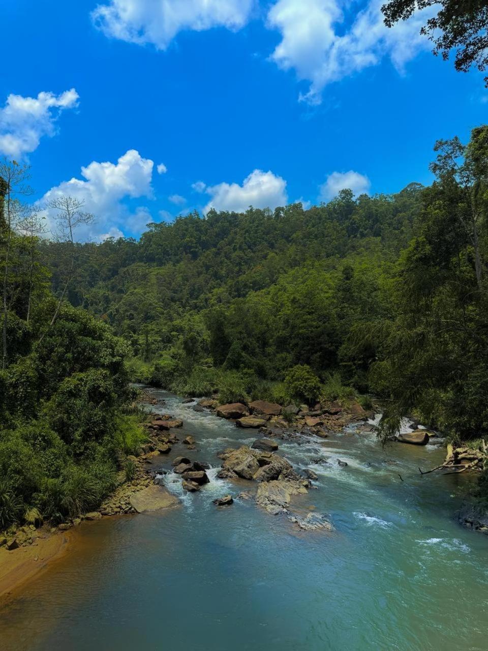 Sinharaja Vini Villa Deniyaya Bagian luar foto