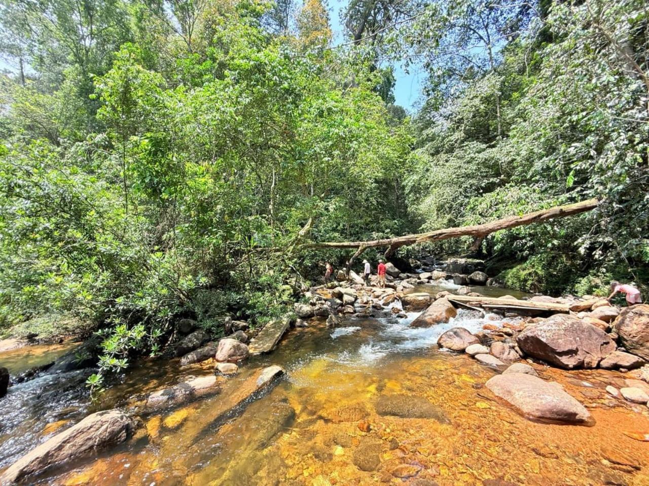 Sinharaja Vini Villa Deniyaya Bagian luar foto