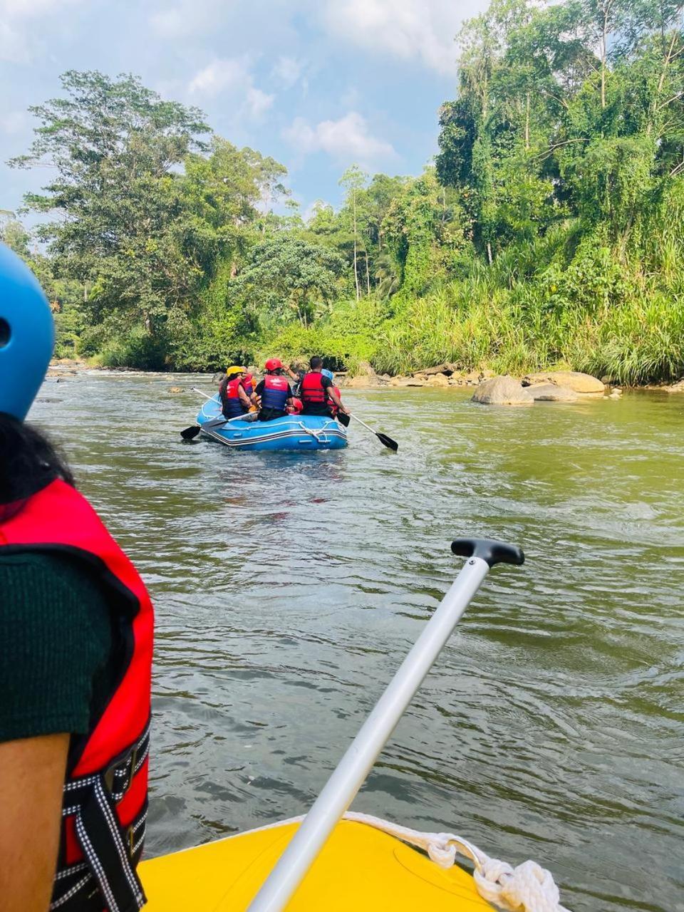 Sinharaja Vini Villa Deniyaya Bagian luar foto