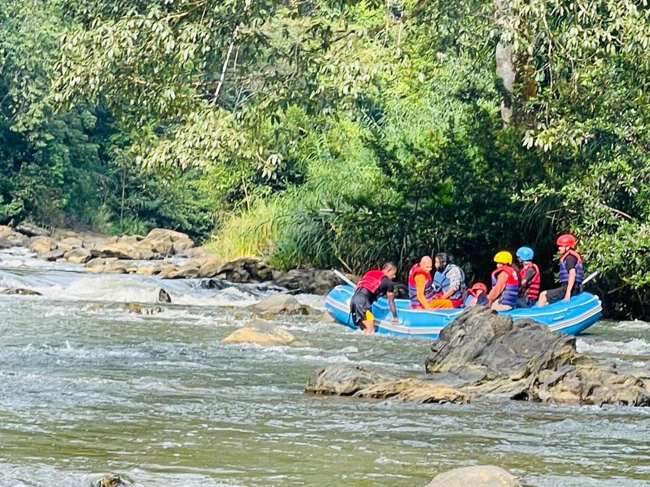 Sinharaja Vini Villa Deniyaya Bagian luar foto